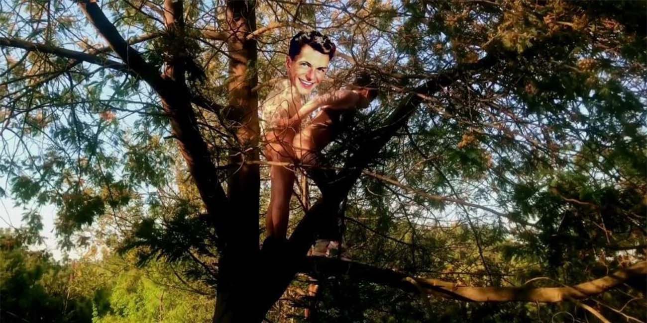 你是真行啊!一般的户外啪啪已经满足不了你了是吧还要跑到树上啪啪啪 这是要上天啊