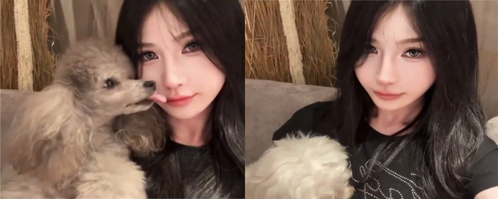 超高颜值小蓝比女人还魅惑 极具诱惑力 TS羊羊子大屌萌妹与男同酒店性爱视频