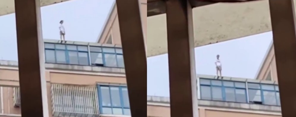 胖猫你们之前不是这么判的 河南女子醉酒求安慰被男友拒绝后坠楼身亡 男友被判赔17万