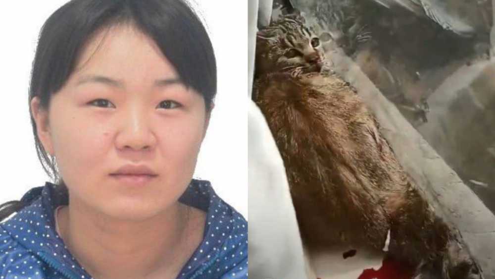 宛如魔鬼附身 浙江杭州女孩刘蕾拿手术刀捅猫 还边笑边夸猫流血可爱