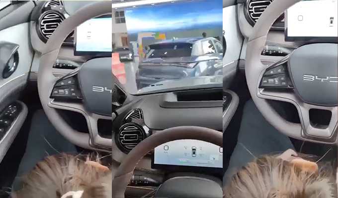 比亚迪4s店现在还有订车口活服务?懂哥已经爽完回家了 就是口的有点贵